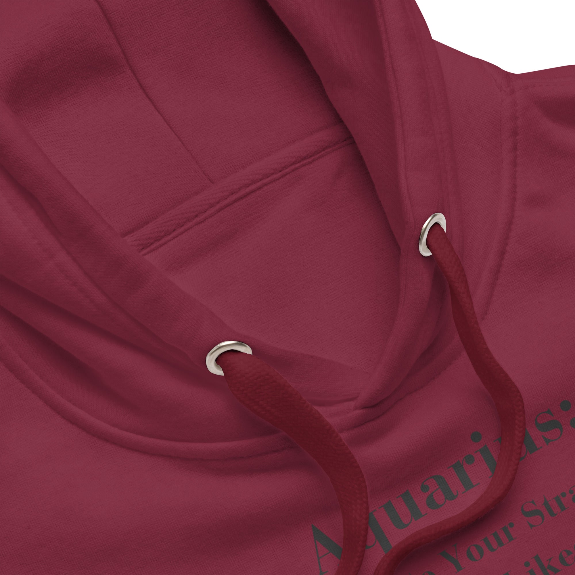 ChessStrology Zodiac Unisex Aquarius Hoodie